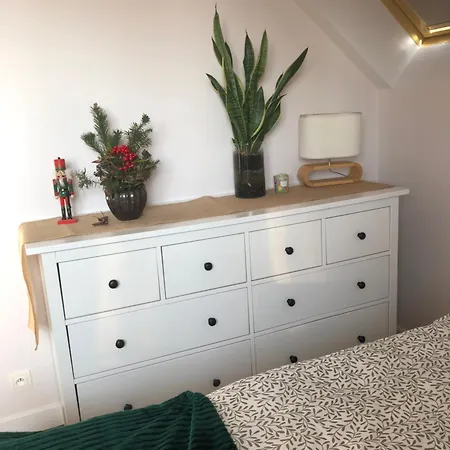 Skandi ノバ・ルダ